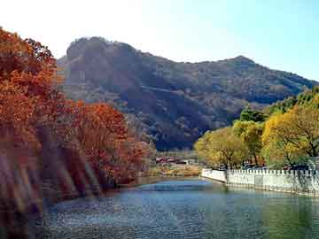 新澳天天开奖资料大全旅游团，蛇灵